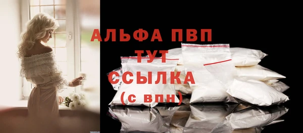 молекула духа Каменногорск