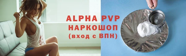 молекула духа Каменногорск