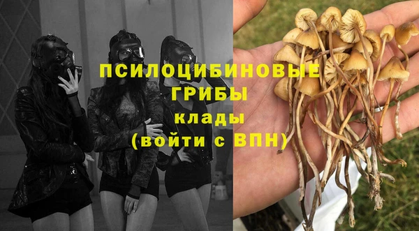 не бодяженный Карпинск