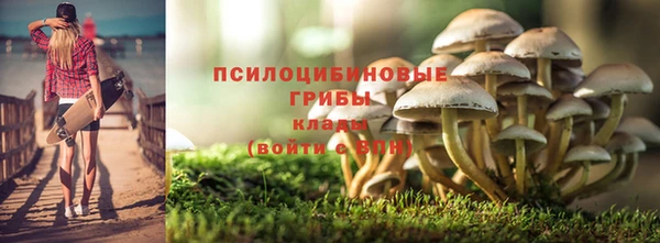 не бодяженный Карпинск