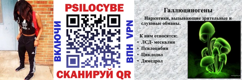 Купить закладки  Кызыл  Псилоцибиновые грибы ЛСД 